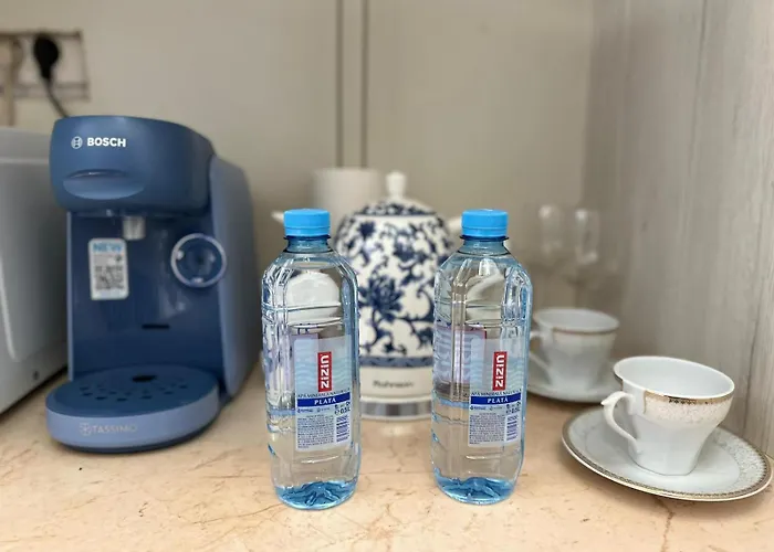 Apartman Magheru By Darius *